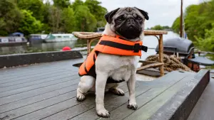 Відео до фільму Патрік | Патрік | Офіційний український трейлер | HD