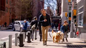 Задник до фильму"Ця річ працює?" #526992