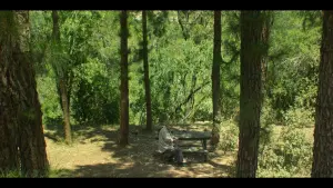 Задник до фильму"" #453495