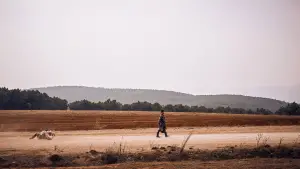 Задник до фильму"" #705707