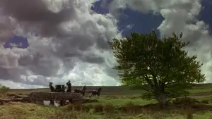 Задник до фильму"Розум і почуття" #802419