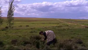 Задник до фильму"Доктор Живаго" #852652