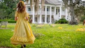 Задник до фильму"Антебеллум" #293593