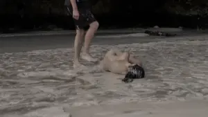 Задник до фильму"" #432593