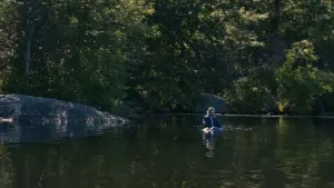 Задник до фильму"Тебе ніколи тут не було" #279222