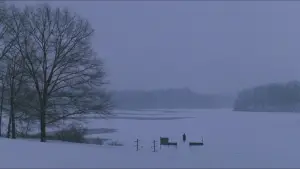 Задник до фильму"Товариство мертвих поетів" #573880