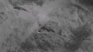 Задник до фильму"けんかえれじい" #765012