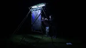 Задник до фильму"Nocturnes" #787090