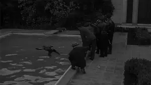 Задник до фильму"Бульвар Сансет" #669951