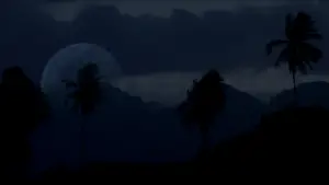 Задник до фильму"Тонка червона лінія" #650160