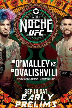 Постер до фильму"UFC 306: O