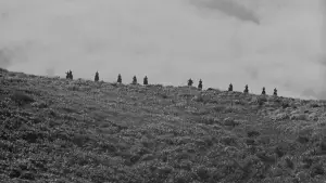 Задник до фильму"Сім самураїв" #605743