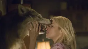 Задник до фильму"Хижа в лісі" #696110