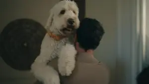 Задник до фильму"Сплітсвіль. Розлучення по-дорослому" #796446