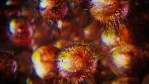 Задник до фильму"Анігіляція" #618562