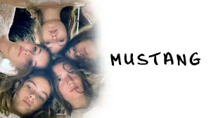 Задник до фильму"Мустанг" #187317