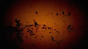 Задник до фильму"" #718875