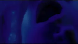 Задник до фильму"Вартові" #223632