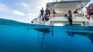 Задник до фильму"En immersion avec Alice Belaïdi" #777968