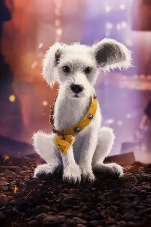 Постер до фильму"Суперґьорл" #767090