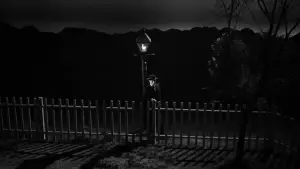 Задник до фильму"Ніч мисливця" #675788