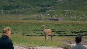 Задник до фильму"" #673866