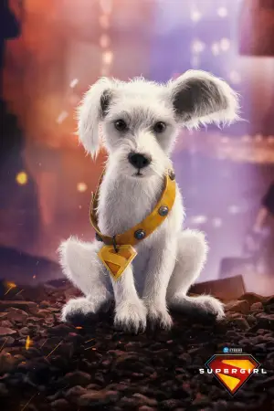 Постер до фильму"Суперґьорл" #767089