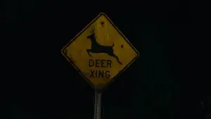 Задник до фильму"Присяжний №2" #780519