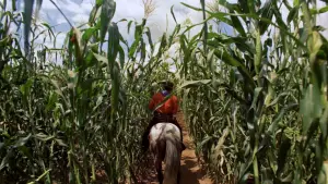 Задник до фильму"" #358349