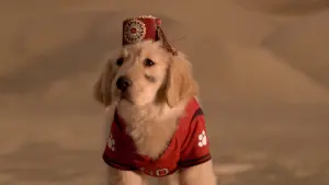 Задник до фильму"П’ятірка шукачів скарбів" #462309