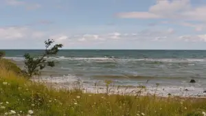 Задник до фильму"Полум’яне небо" #757524