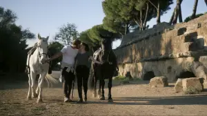 Задник до фильму"MalAmore" #783604