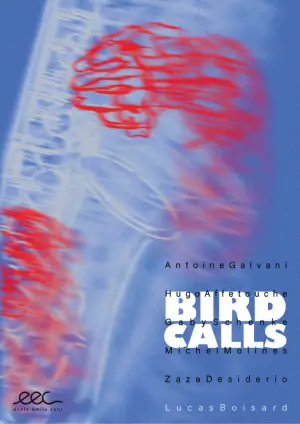 Постер до фільму "Bird Calls"