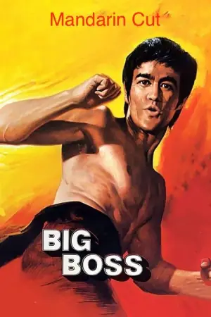 Постер до фильму"Великий бос" #808702