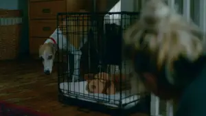 Задник до фильму"The Heirloom" #788806