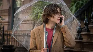 Задник до фильму"Дощовий день в Нью-Йорку" #371889