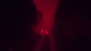 Задник до фильму"Менді" #812359