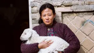 Задник до фильму"" #436417