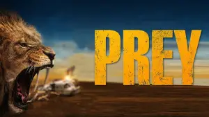 Задник до фильму"" #660557