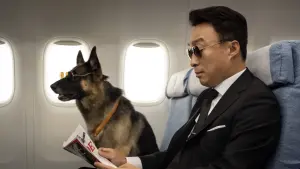 Задник до фильму"Врятувати панду" #358951