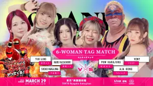 Задник до фильму"TJPW GRAND PRINCESS 