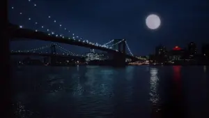 Задник до фильму"Зачаровані Місяцем" #505351