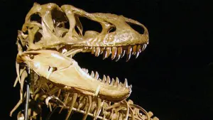 Задник до фильму"" #454062