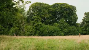 Задник до фильму"28 років по тому: Храм кісток" #509248