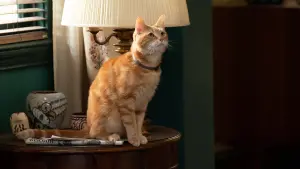 Задник до фильму"Марвели" #160568