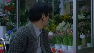 Задник до фильму"Феєрверк" #710950