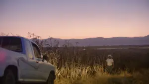 Задник до фильму"Jaripeo" #785169