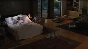 Задник до фильму"Магнолія" #670144