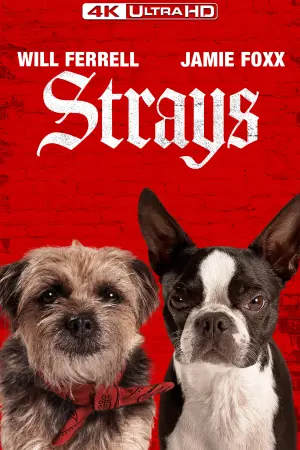 Постер до фильму"Кудлаті перці" #13001