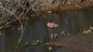 Задник до фильму"" #437864